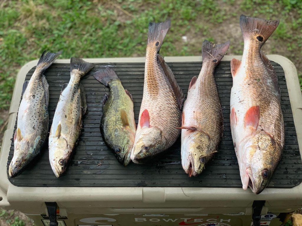 Louisiana October Fishing Report